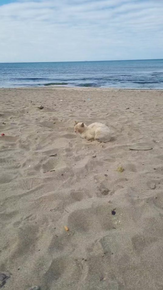 TikTok video thumbnail by mariem.mosta27
