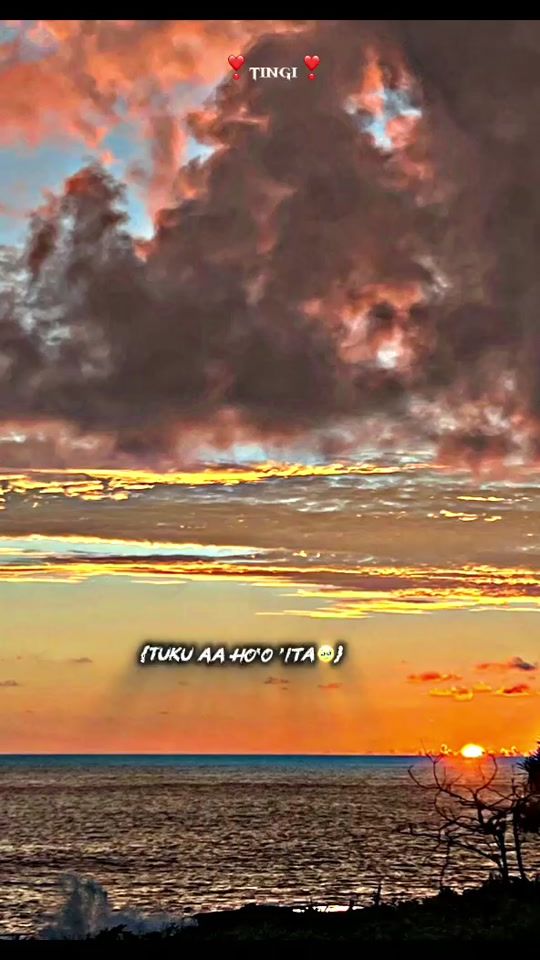 TikTok video thumbnail by tingi467