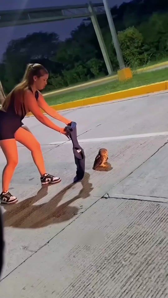 TikTok video thumbnail by masterip23