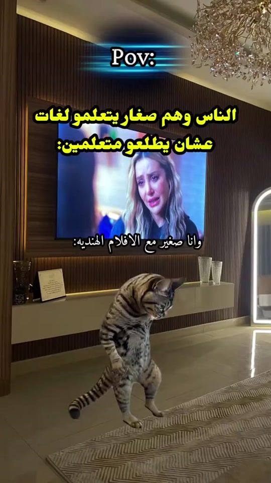 TikTok video thumbnail by x4lnn