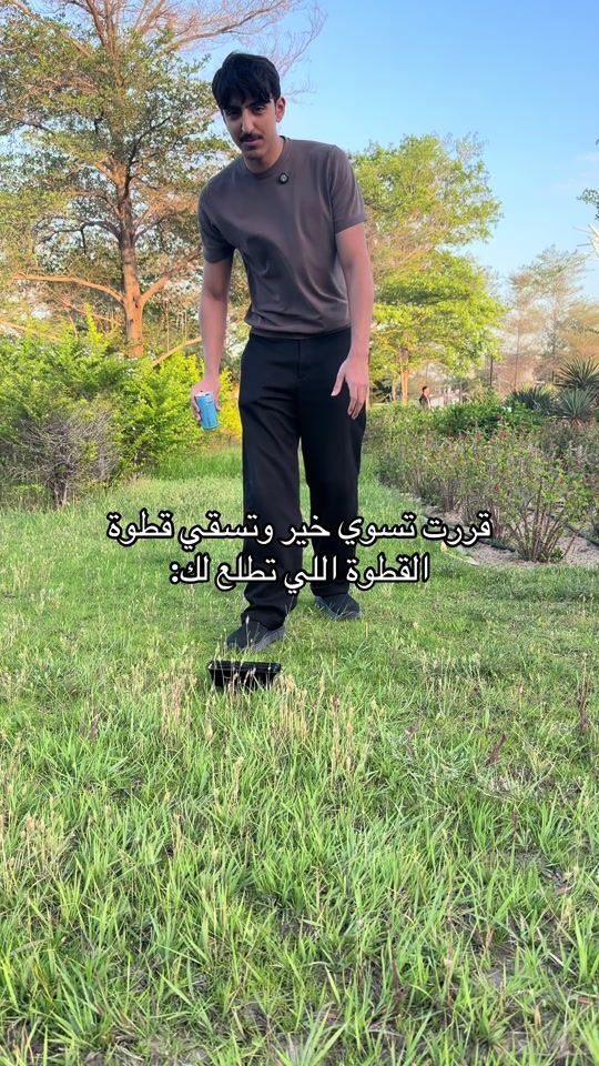 TikTok video thumbnail by flash_drink