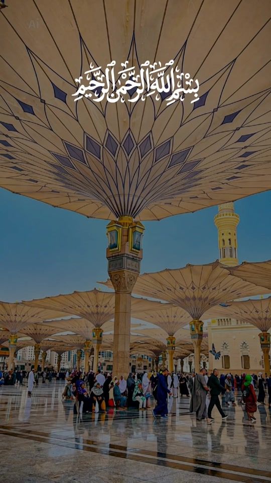 TikTok video thumbnail by waleedyahiaalremalah