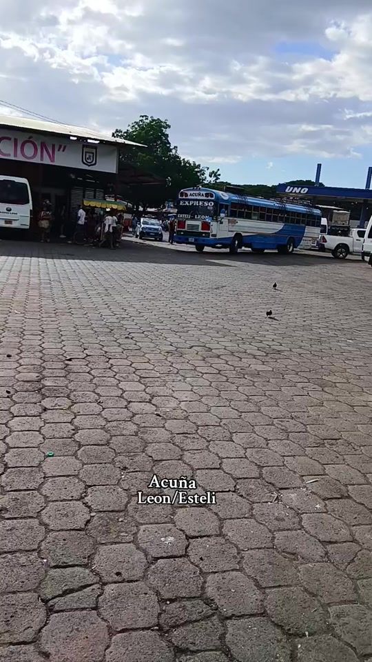 TikTok video thumbnail by busesclips_