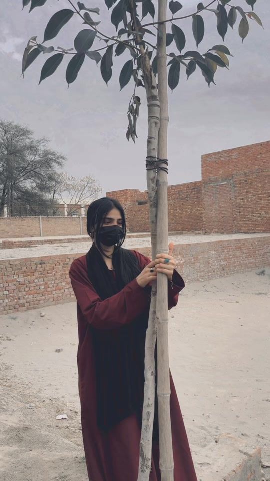 TikTok video thumbnail by minsanoor33