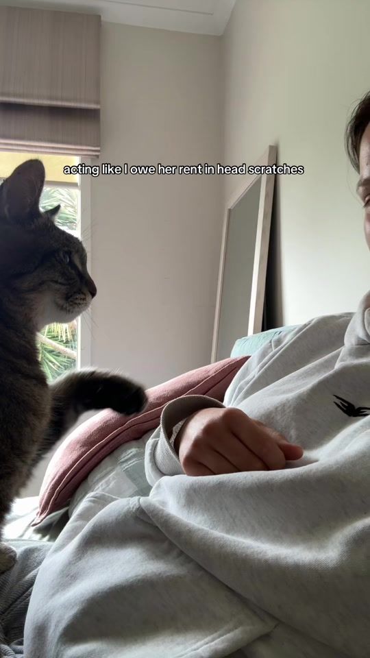 TikTok video thumbnail by meaaganrosee