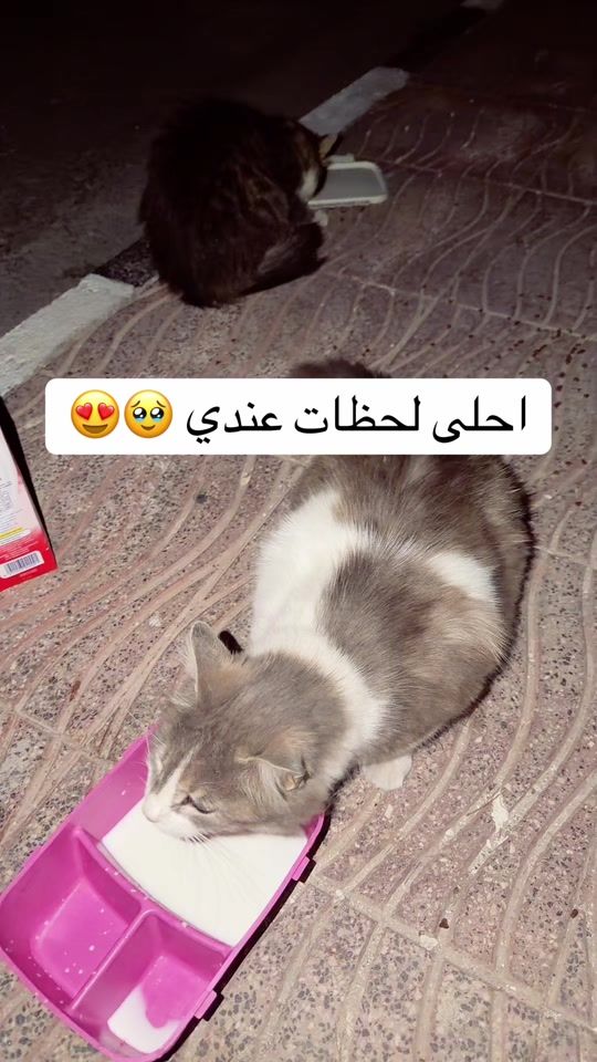 TikTok video thumbnail by albesanee