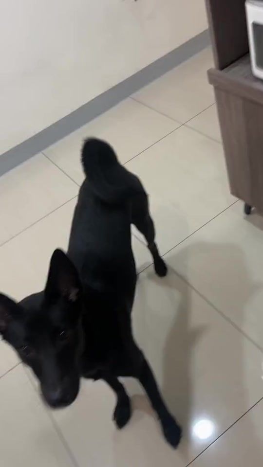 TikTok video thumbnail by pd_0115