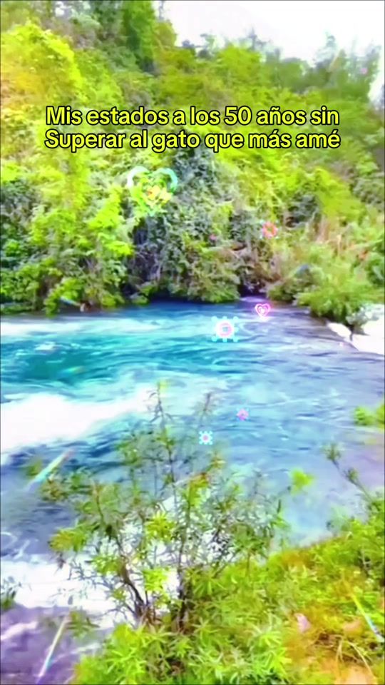 TikTok video thumbnail by michelle.rzz