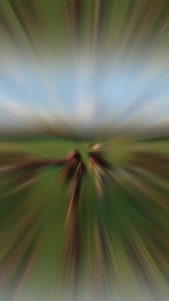 TikTok video thumbnail by venesiya1