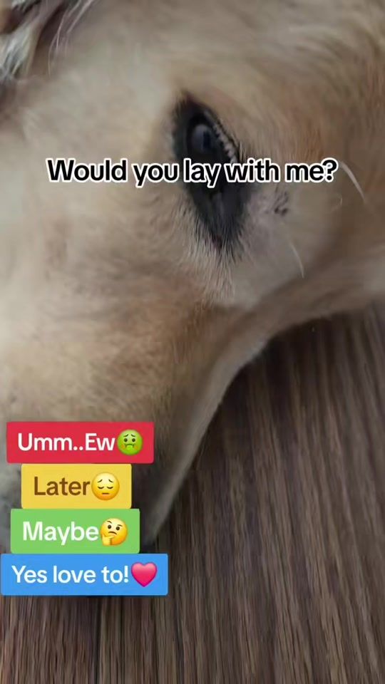 TikTok video thumbnail by griffinourgolden