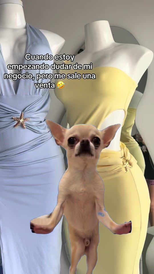 TikTok video thumbnail by nivercy_
