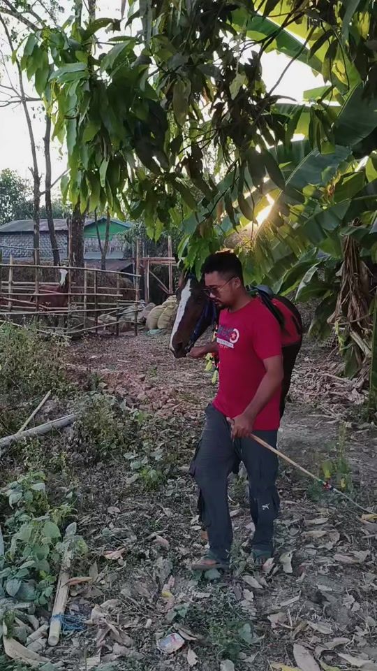 TikTok video thumbnail by zaw.wai.yan11