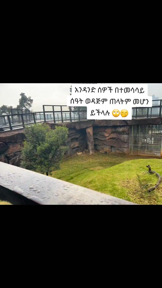 TikTok video thumbnail by selamtagese
