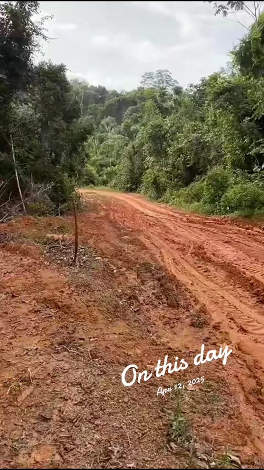 TikTok video thumbnail by mannitransport1