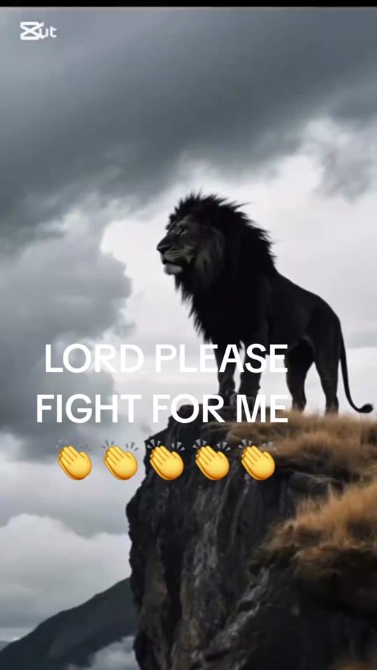 TikTok video thumbnail by fruit_baskets1o1