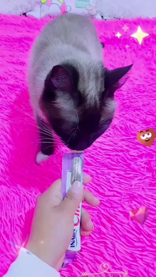 TikTok video thumbnail by jheniferhuauyacas