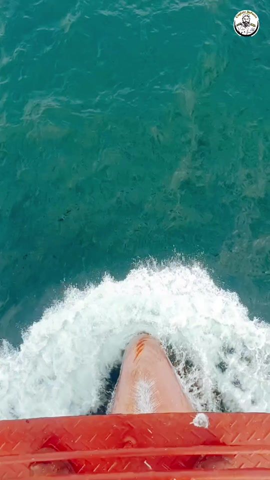 TikTok video thumbnail by capt.safwan
