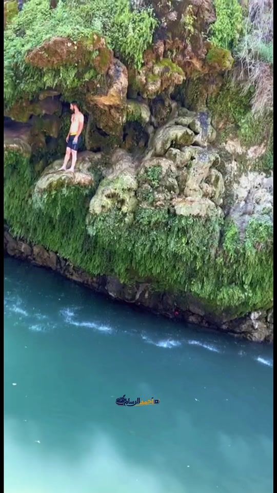 TikTok video thumbnail by 95ah90