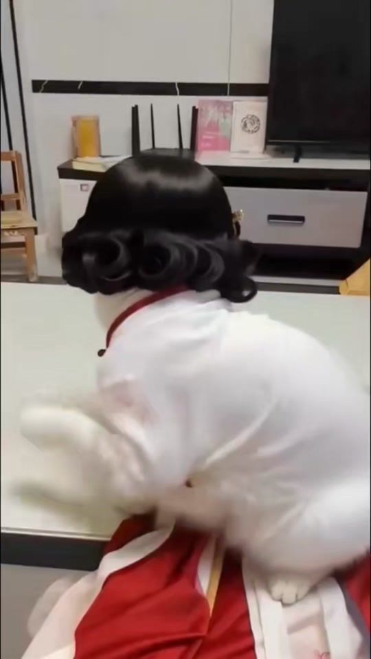 TikTok video thumbnail by user6969258722619