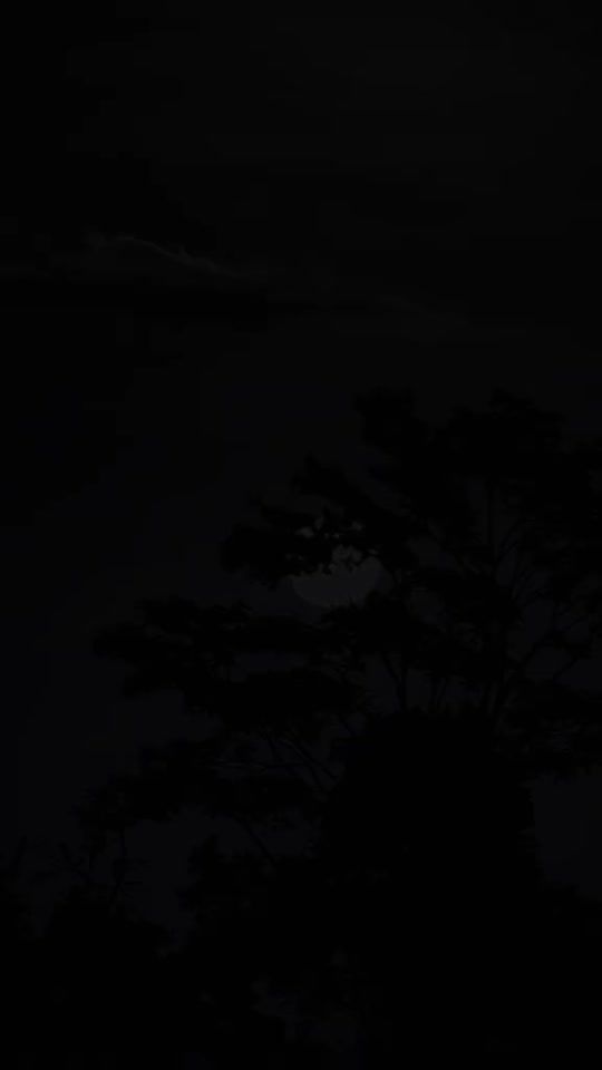 TikTok video thumbnail by de.guatemala0