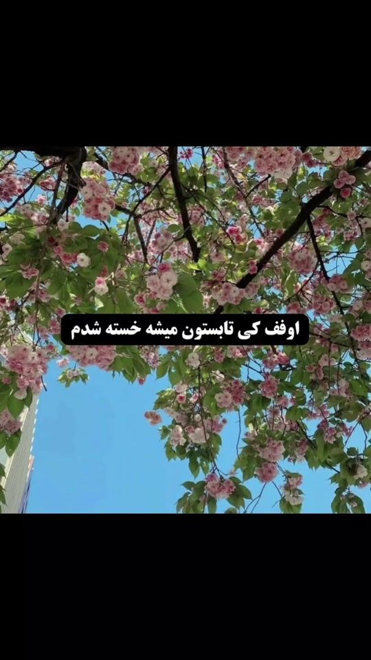 TikTok video thumbnail by ava252429