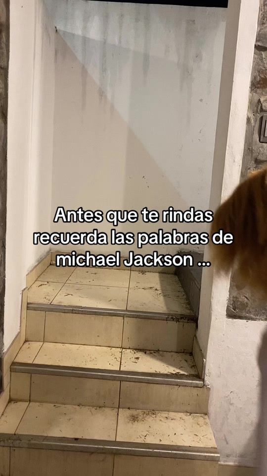 TikTok video thumbnail by el_payasito_chiss