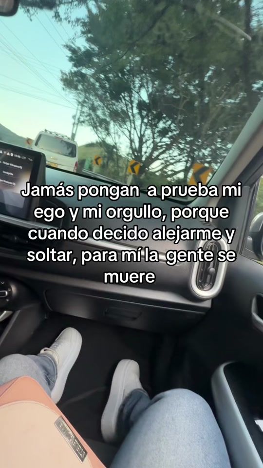TikTok video thumbnail by luisafjc123