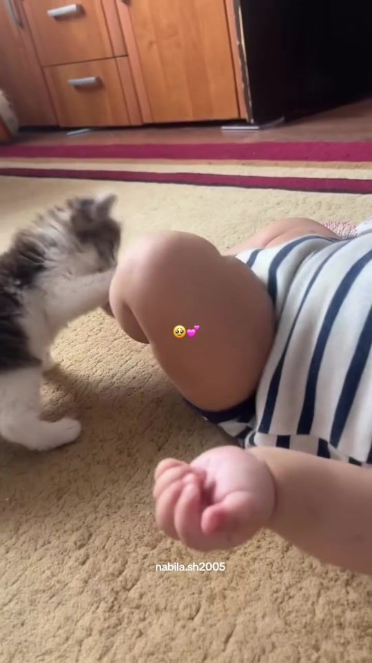 TikTok video thumbnail by nabila.sh2005
