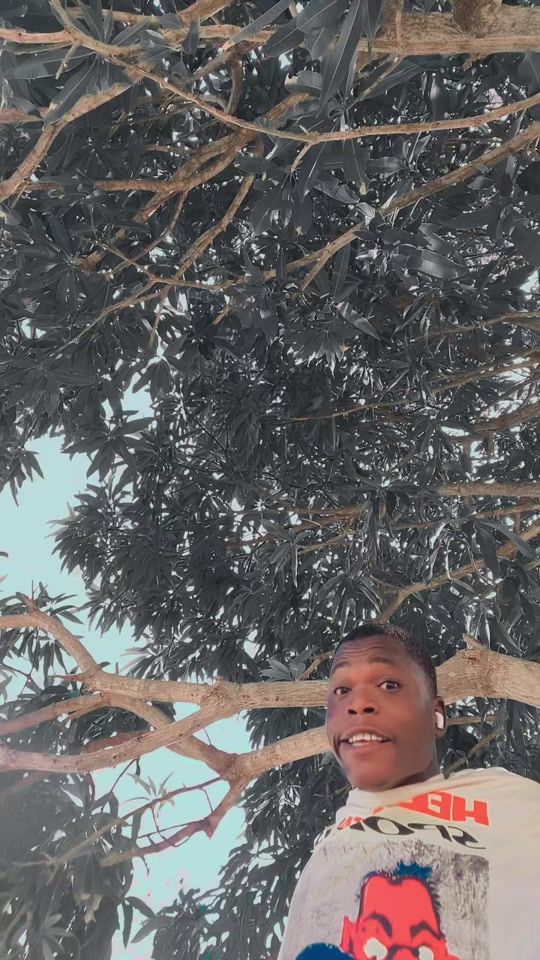TikTok video thumbnail by ddp036