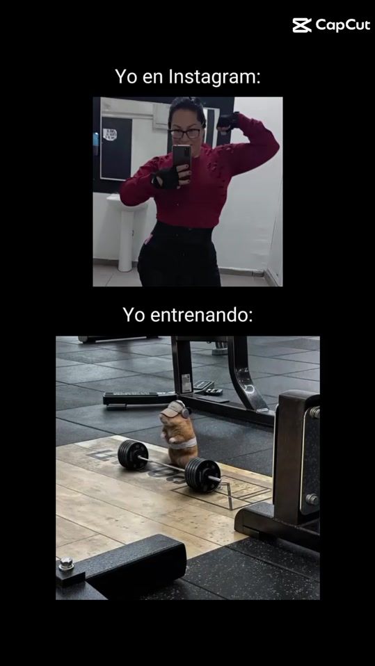 TikTok video thumbnail by gordaportillo