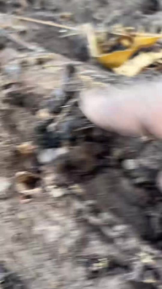 TikTok video thumbnail by userttzflmfyo9