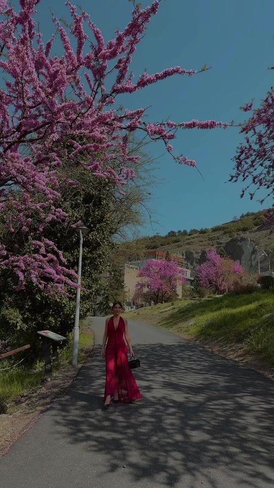 TikTok video thumbnail by sofiasukhitashvili