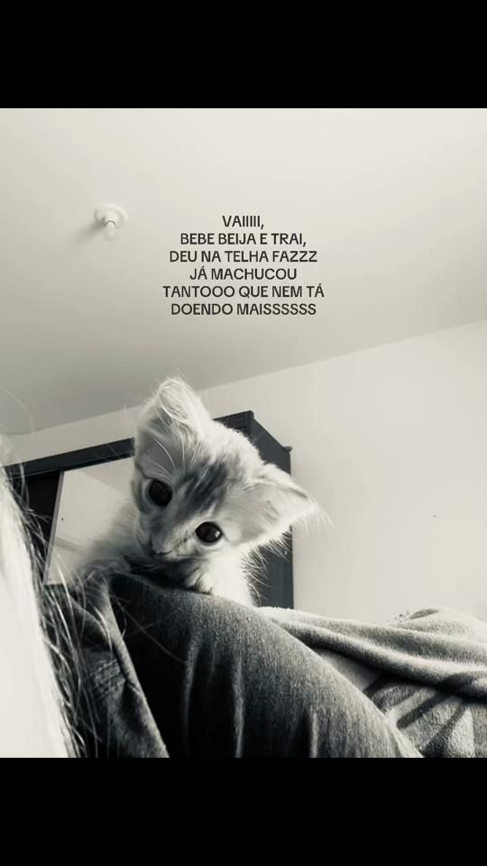 TikTok video thumbnail by brendaazzx