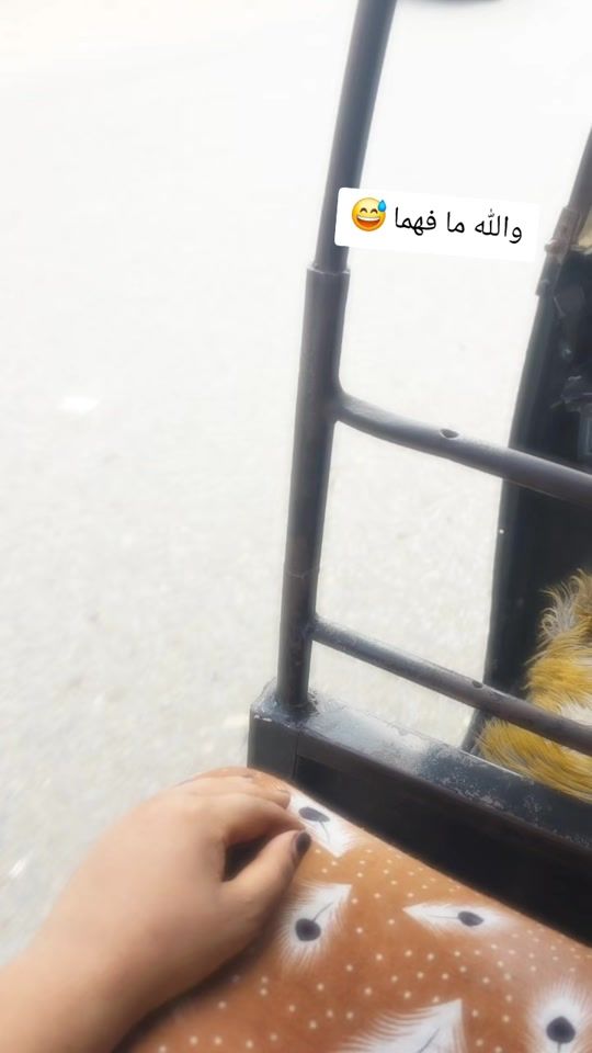 TikTok video thumbnail by usernhm305