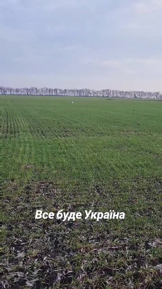 TikTok video thumbnail by ludmila_ukr