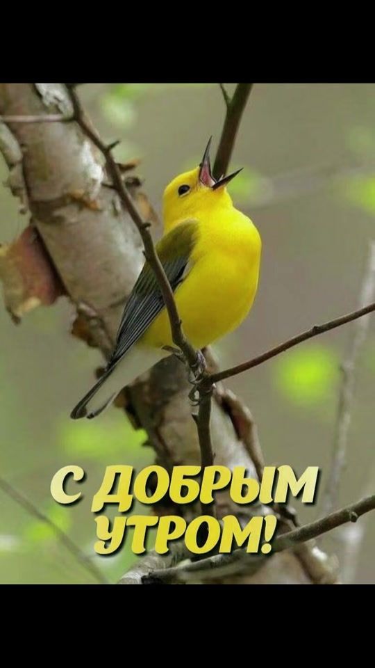TikTok video thumbnail by _irina_9.7