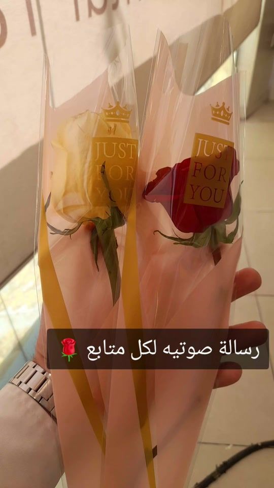 TikTok video thumbnail by user2387441875115