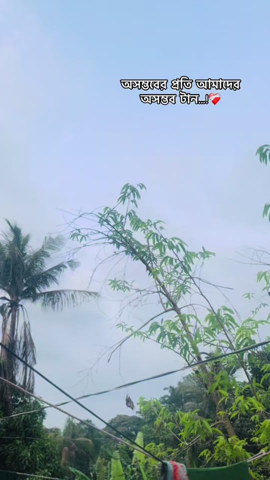 TikTok video thumbnail by t__wafa4