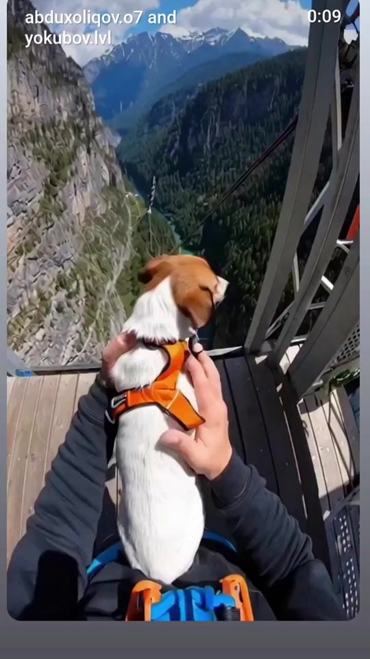 TikTok video thumbnail by abxazvolk
