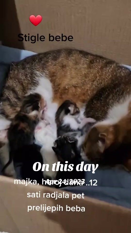 TikTok video thumbnail by sandra21081979