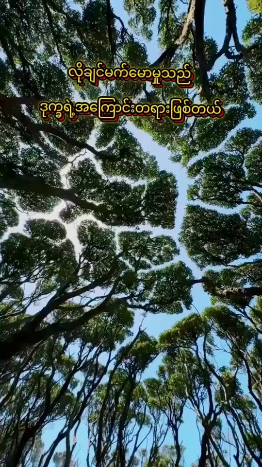 TikTok video thumbnail by dhamma37999