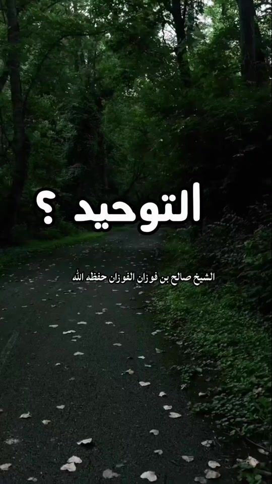TikTok video thumbnail by abarsbeel7