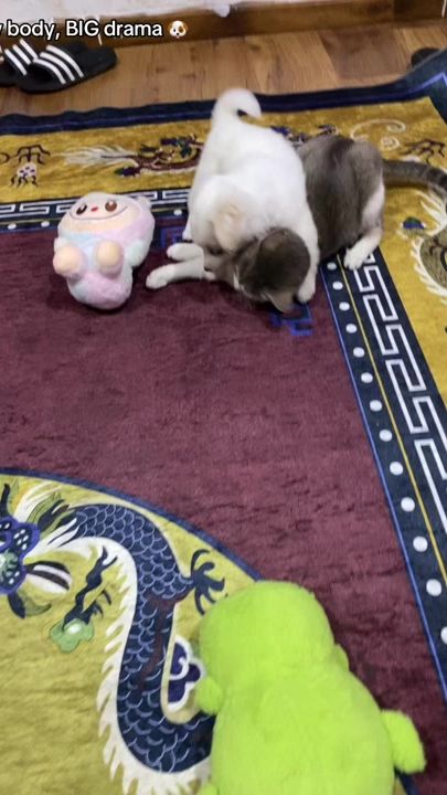 TikTok video thumbnail by ur.baby.darla