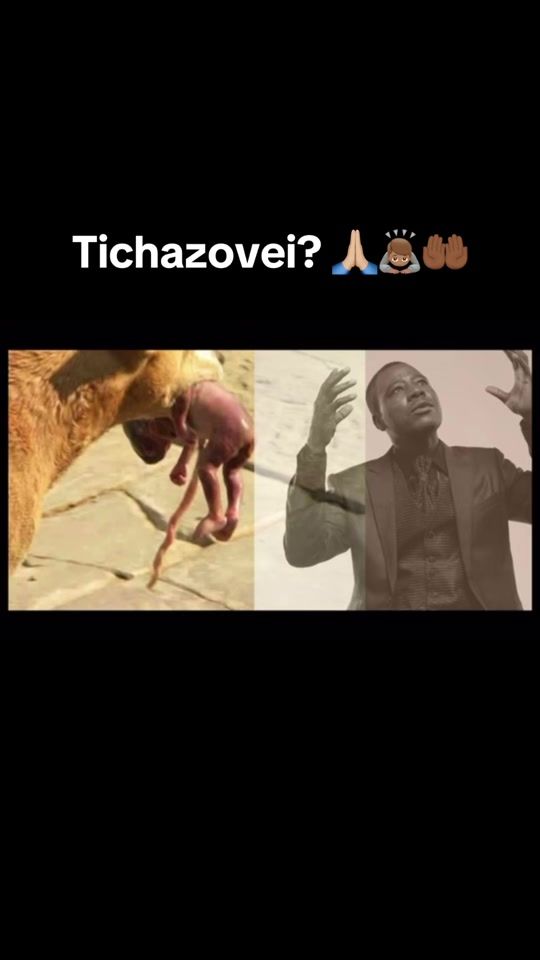 TikTok video thumbnail by the.charambas