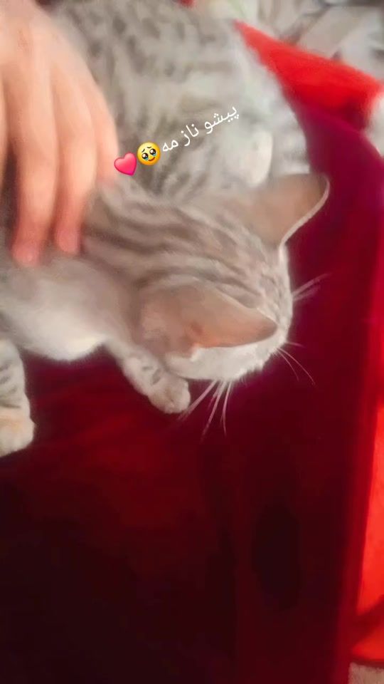 TikTok video thumbnail by hasrat_007