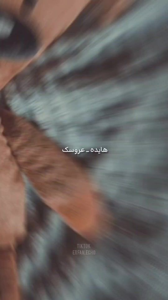 TikTok video thumbnail by erfan.echo