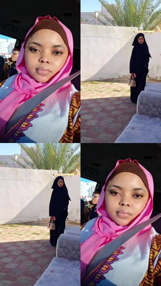 TikTok video thumbnail by everl39