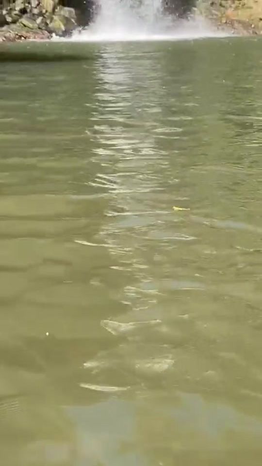 TikTok video thumbnail by albar7pty
