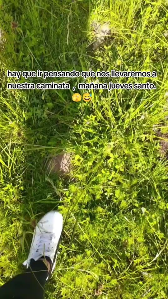 TikTok video thumbnail by valquicita