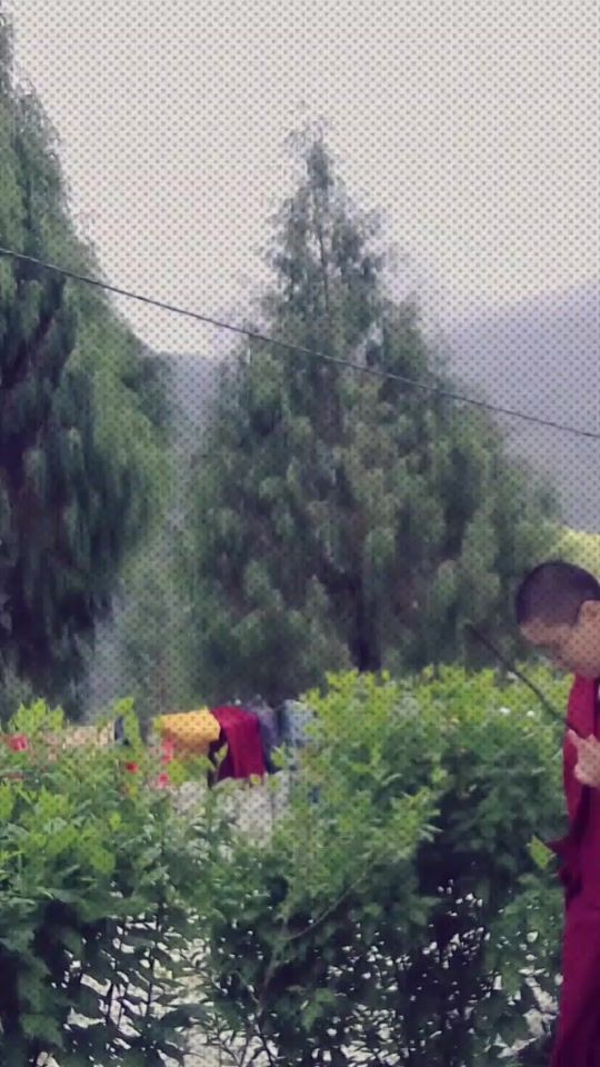 TikTok video thumbnail by urnekula2